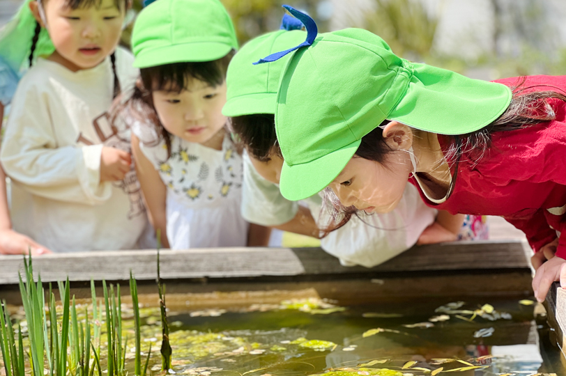 水の中を覗く子どもたち