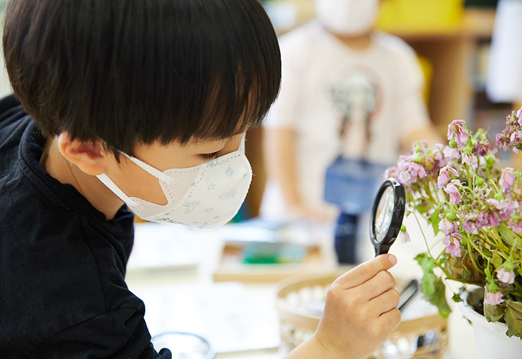 観察する子どもたち