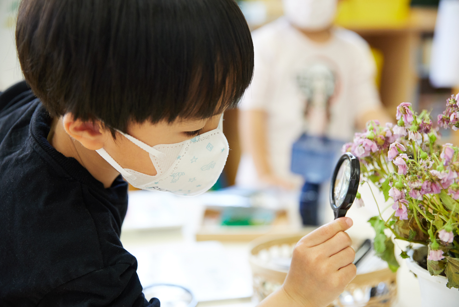 花を観察する子ども