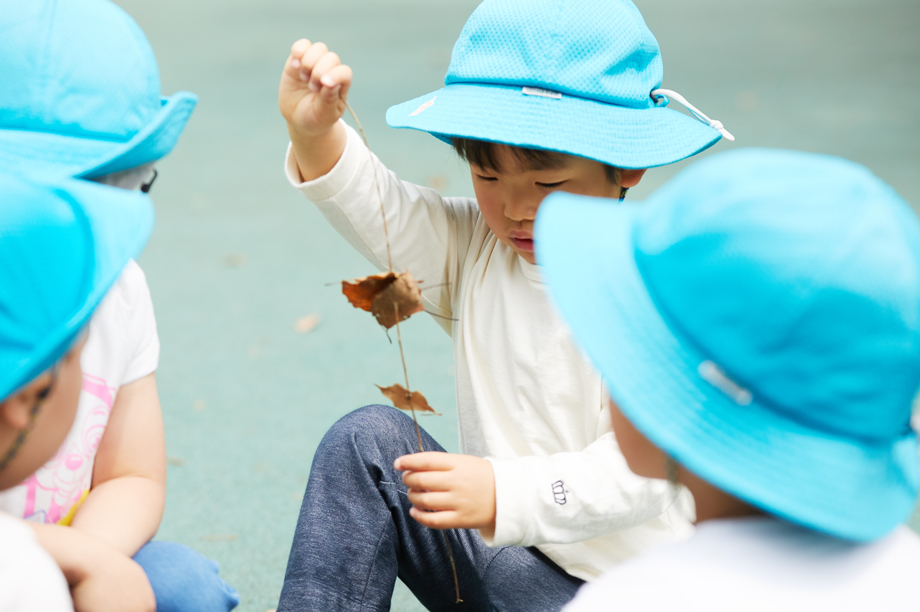 観察する子どもたち