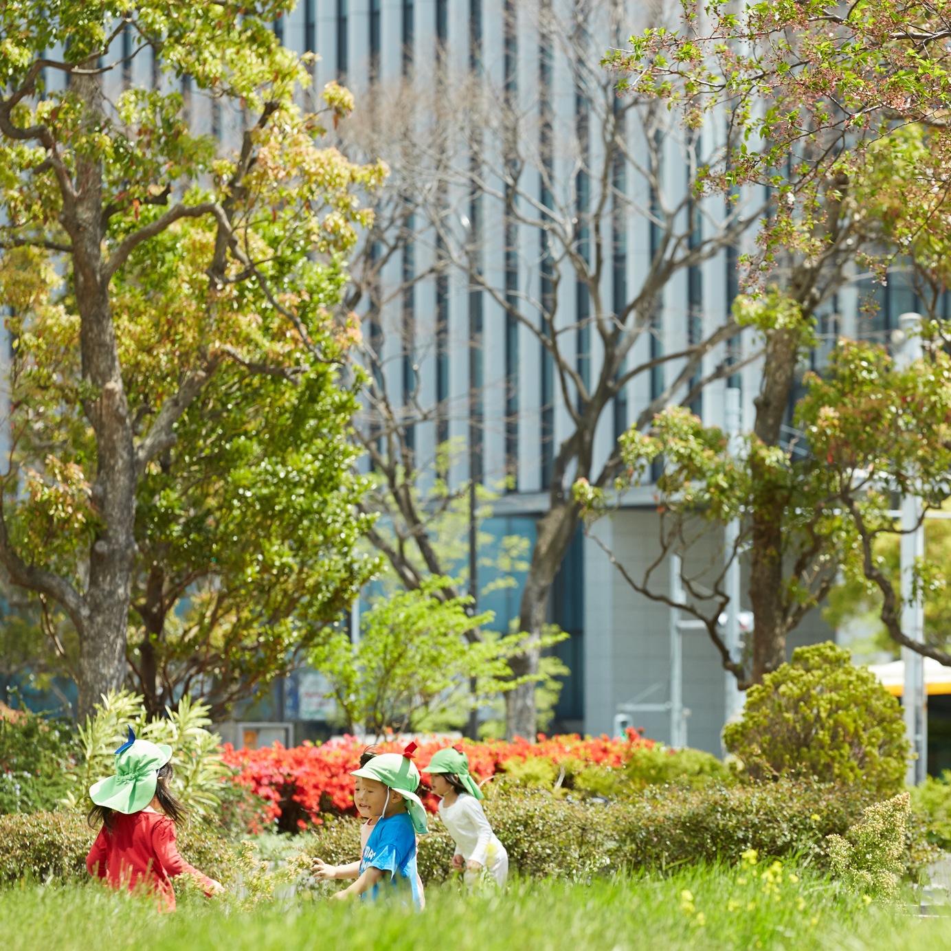 グローバル教育アカデミー 晴海キャンパス - Aoba Japan Bilingual Preschool